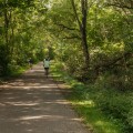 The Vital Role of Transportation in Kent County, Michigan