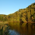 Uncovering the Fascinating History of Kent County, Michigan